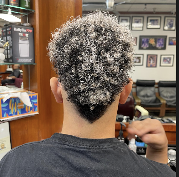 Salt and Pepper Curly Afro