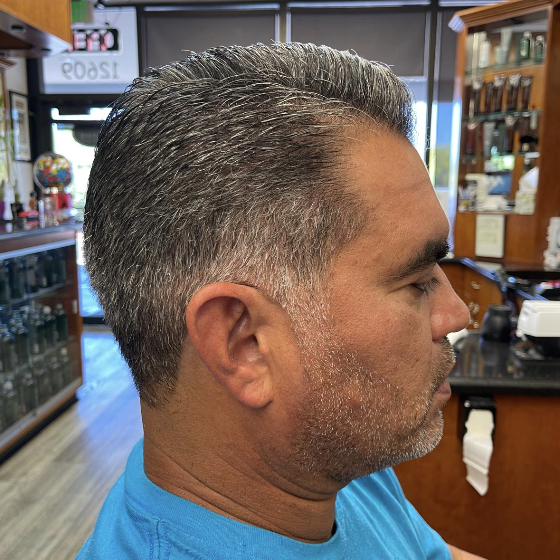 Salt and Pepper Slick Back